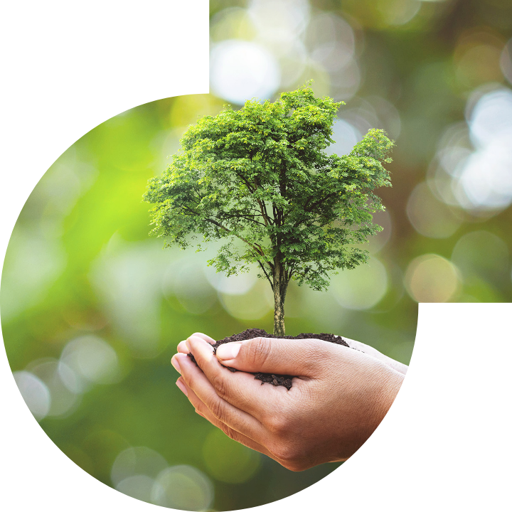 关怀人类、文化、环境与社会